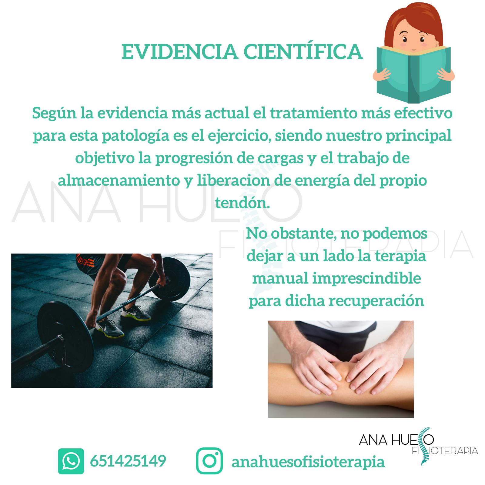 Tendinopatía - Fisioterapia Ana Hueso