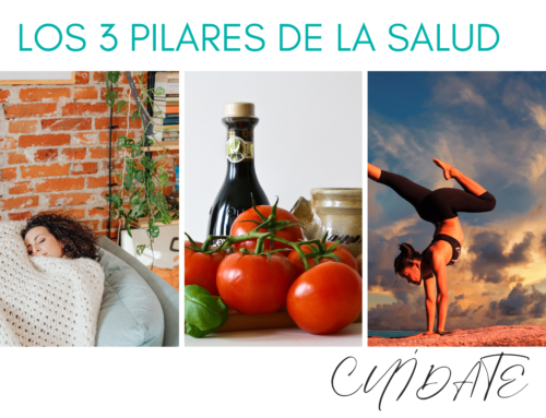 Los 3 pilares de la salud